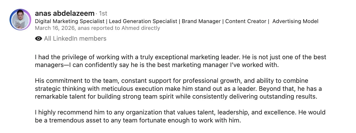 Anas Abdelazeem LinkedIn recommendation